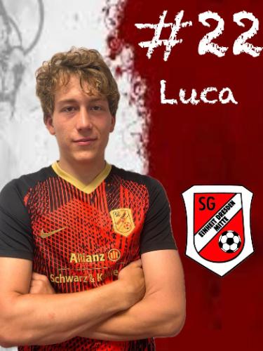 Luca Said Wald