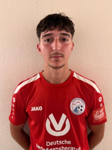 Alban Hajdini