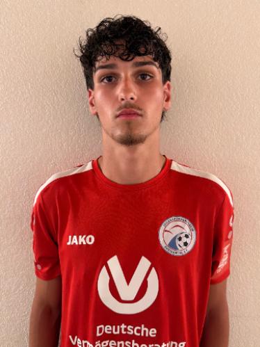 Johannes Stibal
