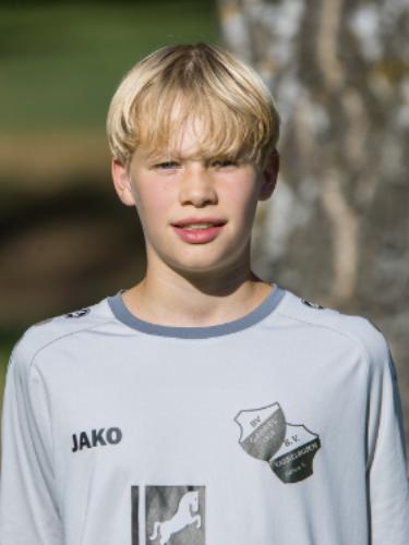 Hannes Crone