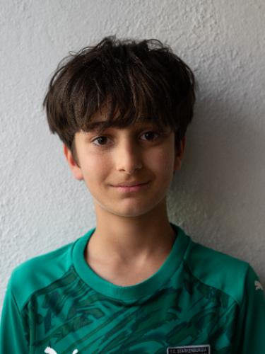 Arsalan Bick Azizi