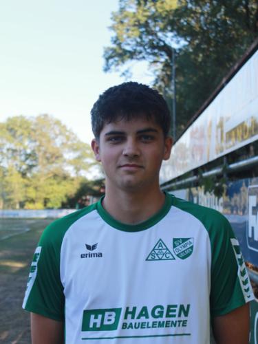 Niklas Pieper