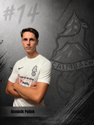 Dominik Pollok