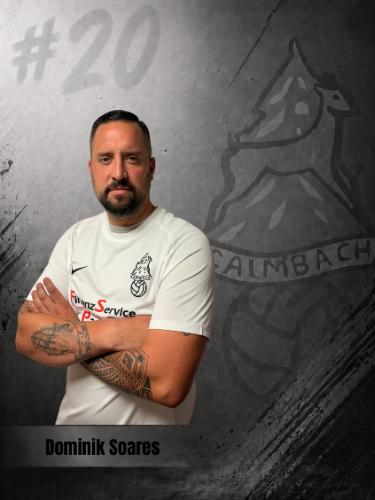 Dominik Soares