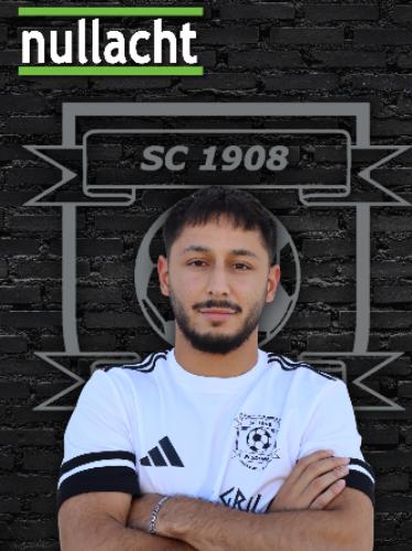 Taylan Sirin