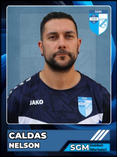 Nelson Caldas