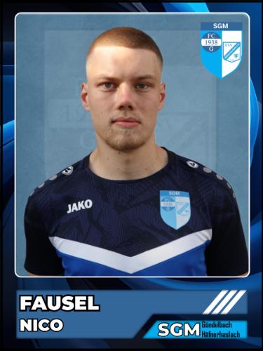 Nico Fausel