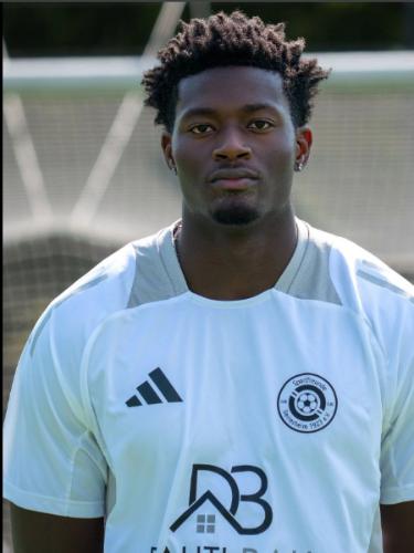 Ismael Amir Ephraim Diomande