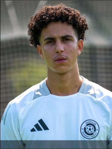 Ahmed Aziz Ghannay