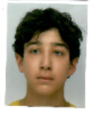 Hasan-Emre Demirhan