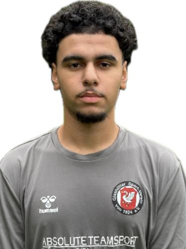 Ahmed Tamer Mohamed Salem Mohamed Mohamed Saker