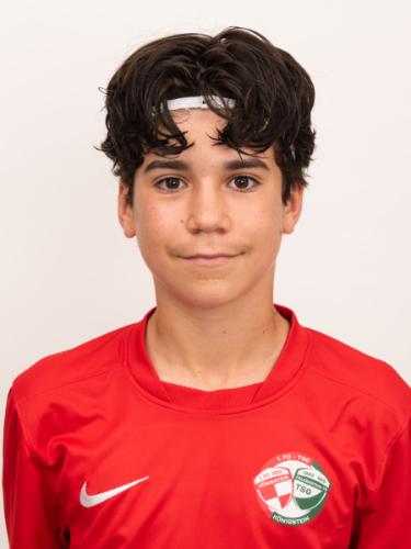 Niko Raguz