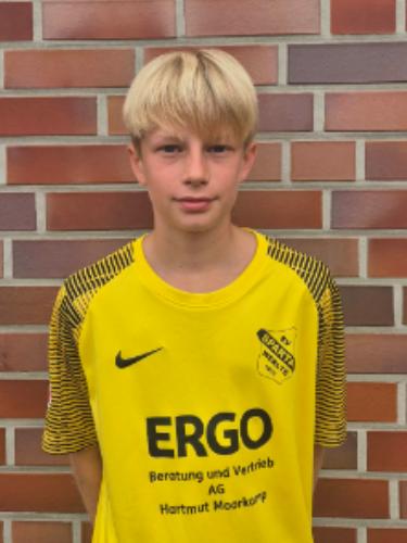 Fabian Henke