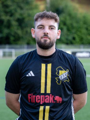 Dominik Greiser