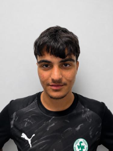 Ali Hamdan