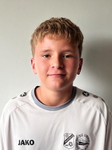 Curd-Heiner Johannes