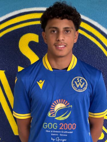 Ahmed Semida