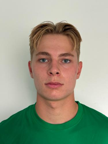 Hendrik Elbert