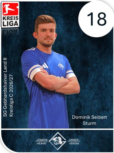 Dominik Seibert