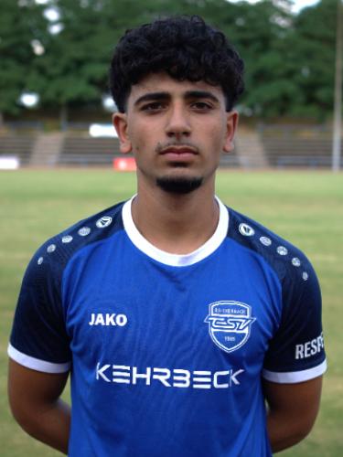 Arman Hamkar