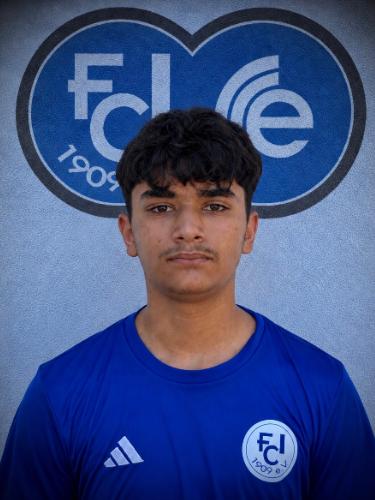 Sebastian Ali