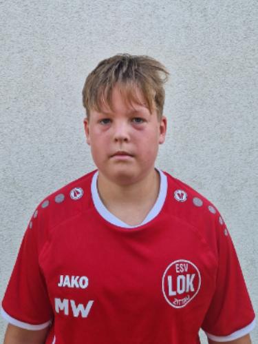 Theodor Dökert