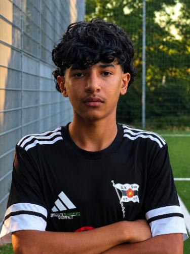 Mohamed Almohamad Alamer