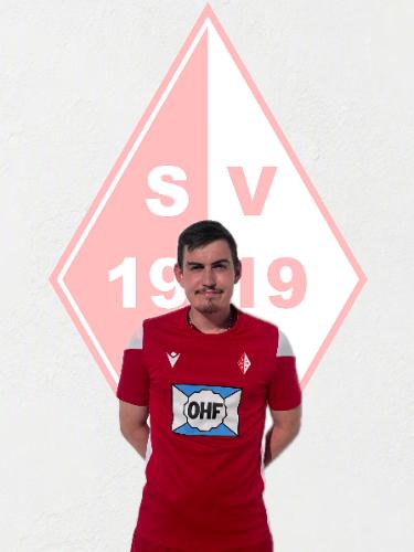 Levin Wittek