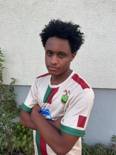 Temesgen Meles Hailemichel
