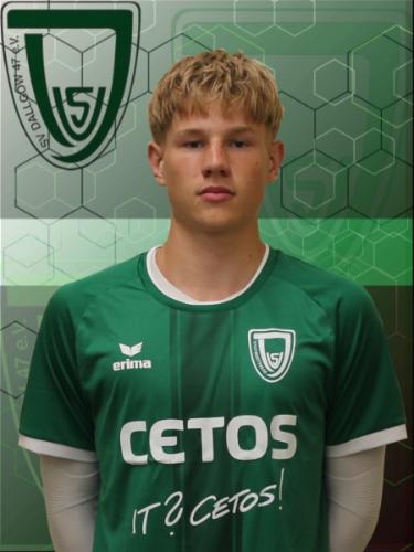 Theo Haushalter