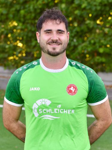 Nico Albrink