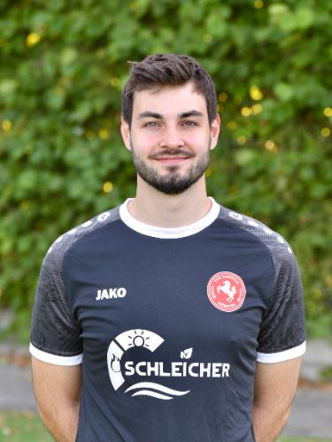 Jan Dehl