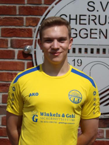 Timo Henke