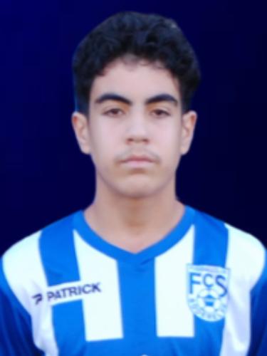 Emre Veli Altan