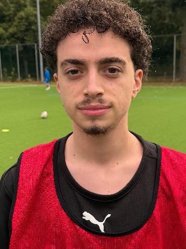 Malik Gül
