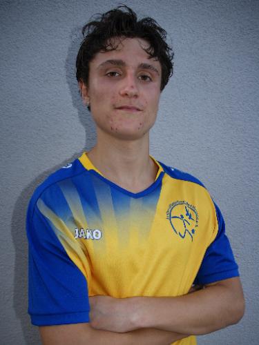 Louis Leon Stehl