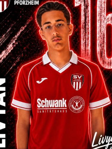 Livyan Gabriel Dana