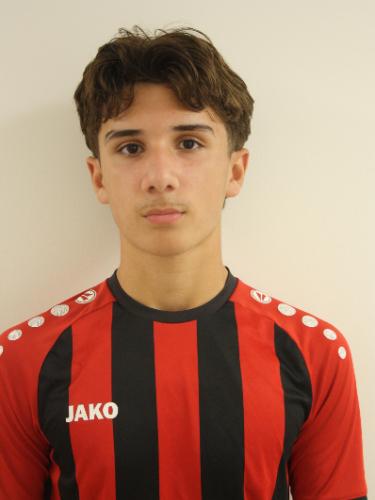 Alen Celikovic