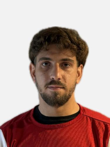 Denis Mesanovic