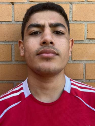 Mohammed Isam Elsayed Hassan