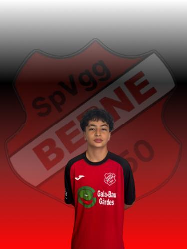 Hamit Tuna Altun
