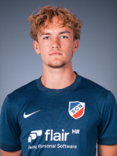 Niklas Georg Welsch