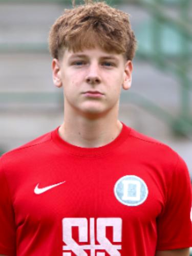 Julius Wittek