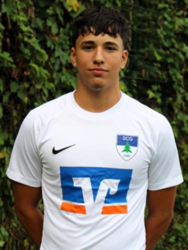 Nelio Talavera Carreira