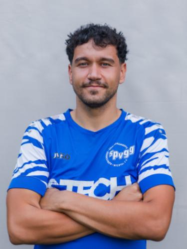 Luis Gomes Ribeiro
