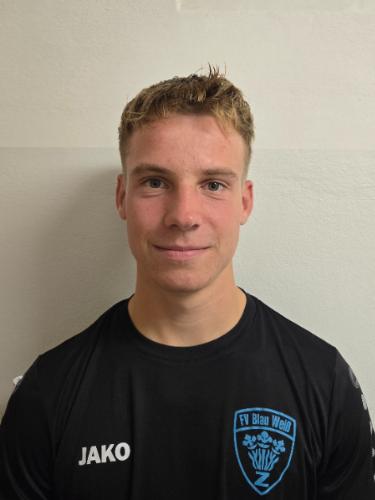 Henry Zocher
