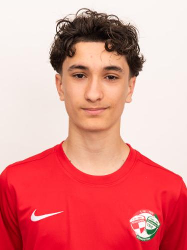 Manuel Wolf