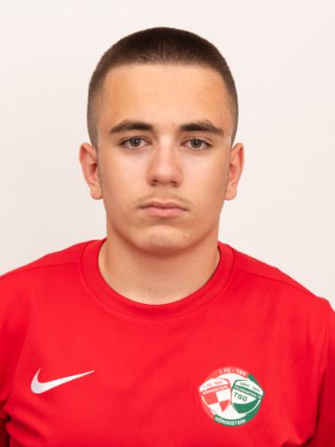 Nemanja Tadic