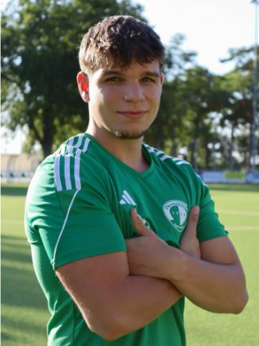 Henrik Ahlgrimm