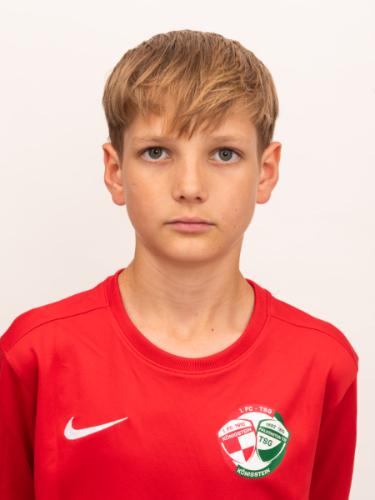 Oles Shestak